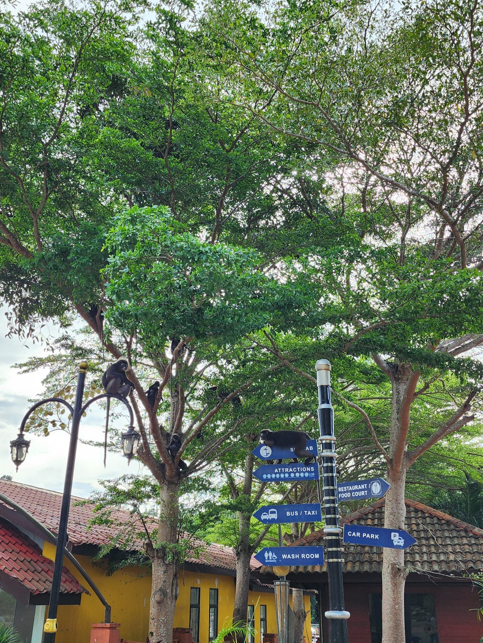 Malaysia travel experience guide – walking across Langkawi Sky Bridge
