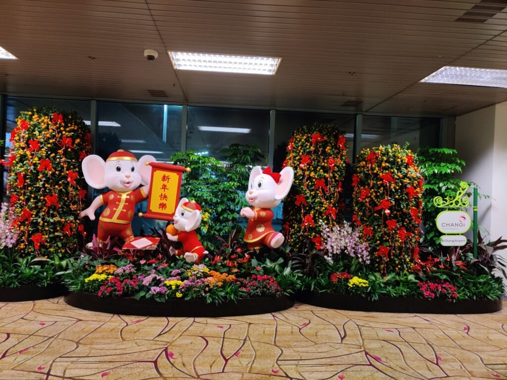 Singapore changi airport layover to catch flight to bali, indonesia