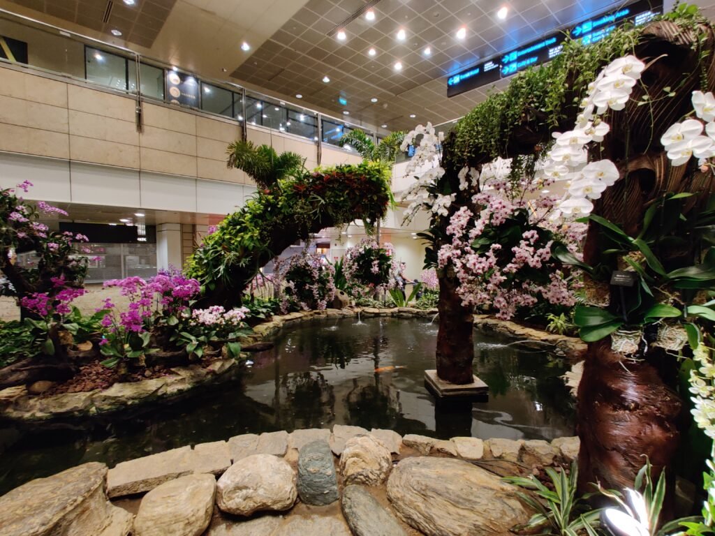 Singapore changi airport layover to catch flight to bali, indonesia