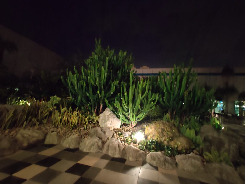 Singapore changi airport cactus garder layover to catch flight to bali, indonesia