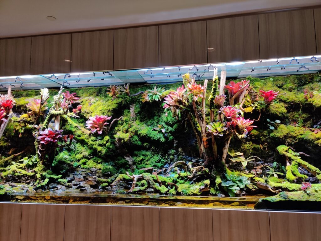 Singapore changi airport layover to catch flight to bali, indonesia