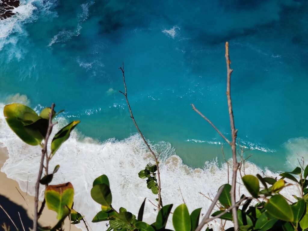 nusa penida bali indonesia Kelingking Beach