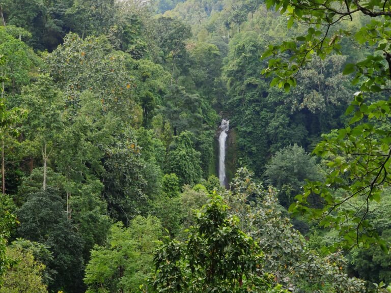 ocean and mountain travel experience gitgit waterfall bali indonesia